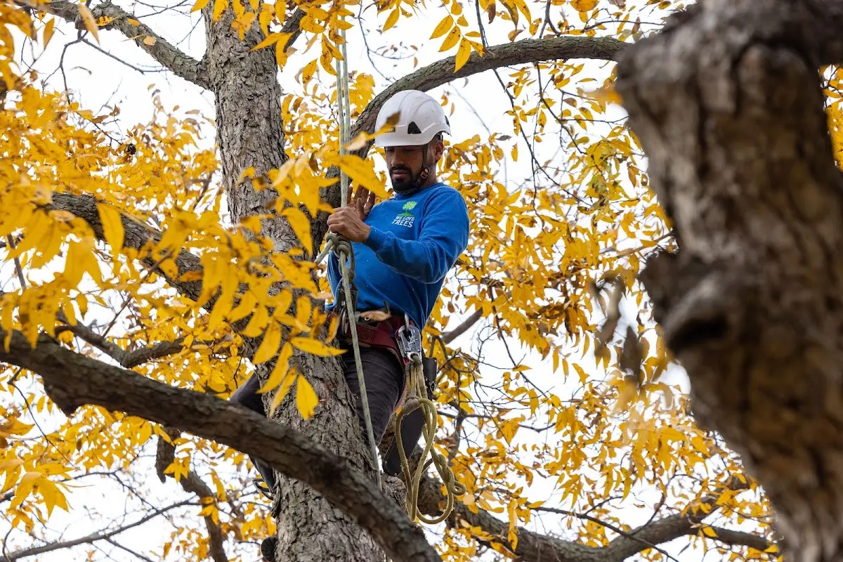 Skilled Storm Damage Cleanup crew working in Morganfield