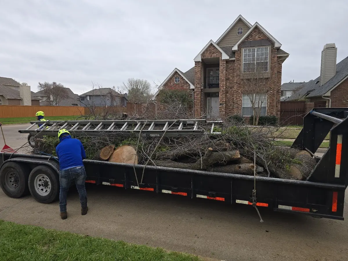 Expert Tree Pest Control with proper safety equipment in Morganfield